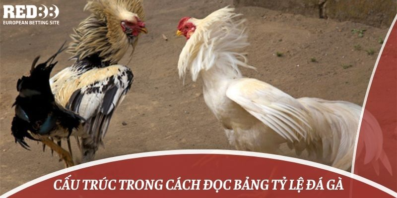 Cấu trúc trong cách đọc bảng tỷ lệ đá gà