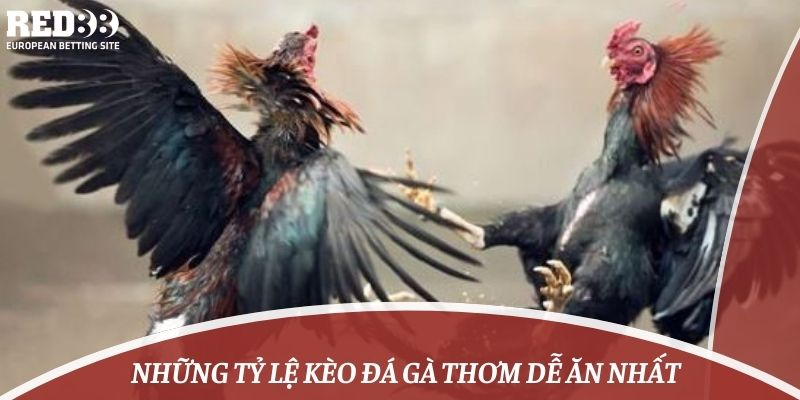 Những tỷ lệ kèo đá gà thơm dễ ăn nhất