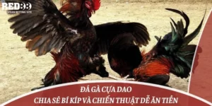 Đá Gà Cựa Dao: Chia Sẻ Bí Kíp Và Chiến Thuật Dễ Ăn Tiền