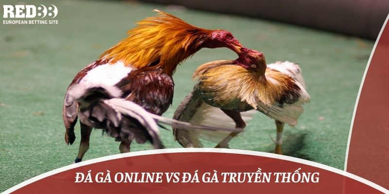 Đá Gà Online Vs Đá Gà Truyền Thống