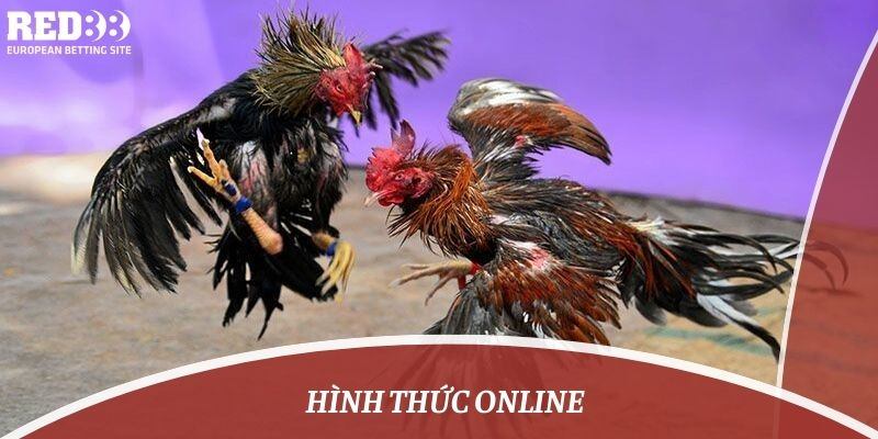 Hình thức online